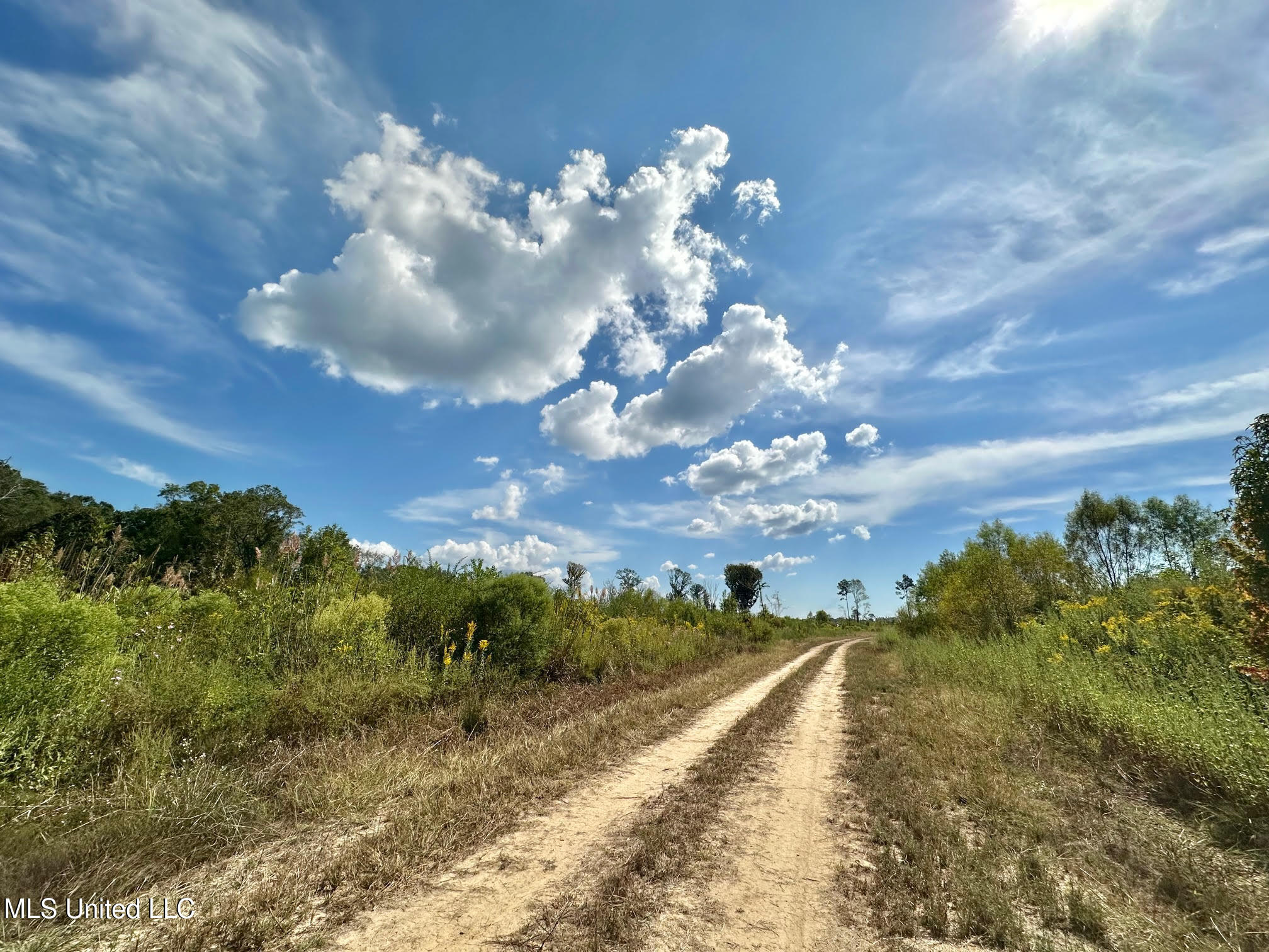 5 Highway 35 Forest, MS 39074 - Photo 12 of 51 21