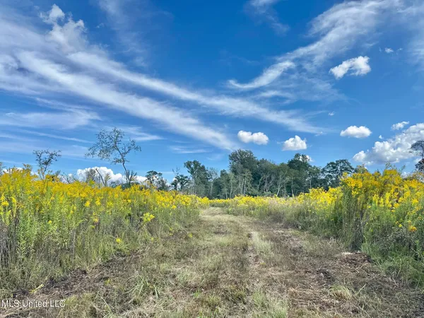 $425,000 | 5 Highway 35, Forest, MS 39074