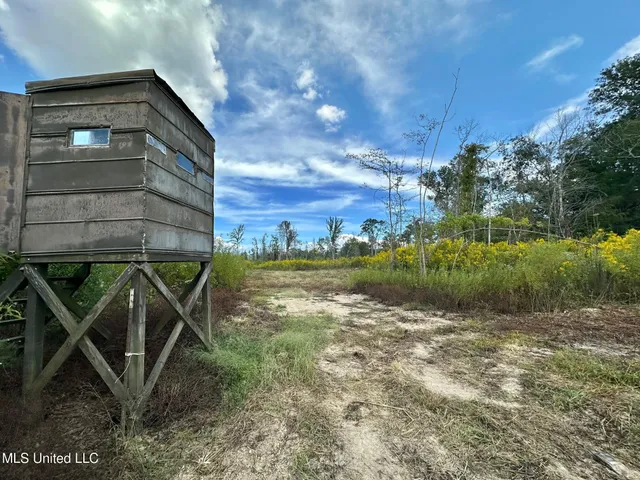 $425,000 | 5 Highway 35, Forest, MS 39074