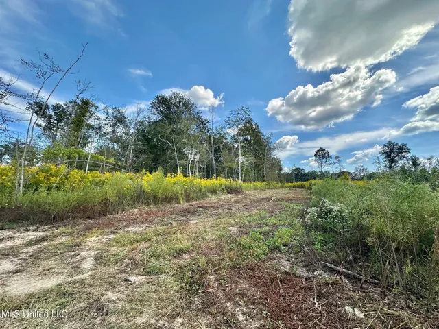 $425,000 | 5 Highway 35, Forest, MS 39074