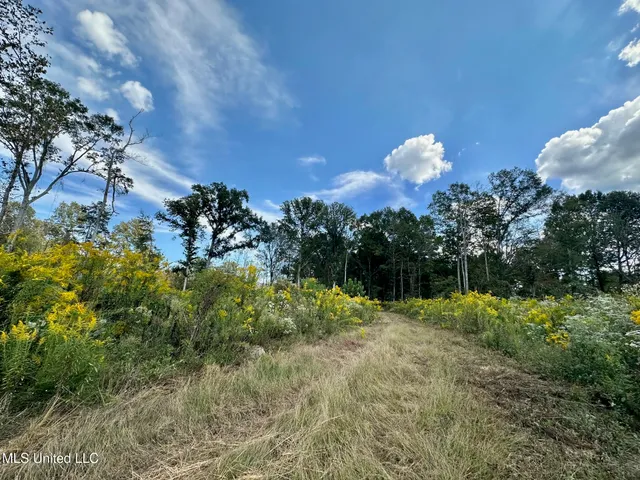 $425,000 | 5 Highway 35, Forest, MS 39074