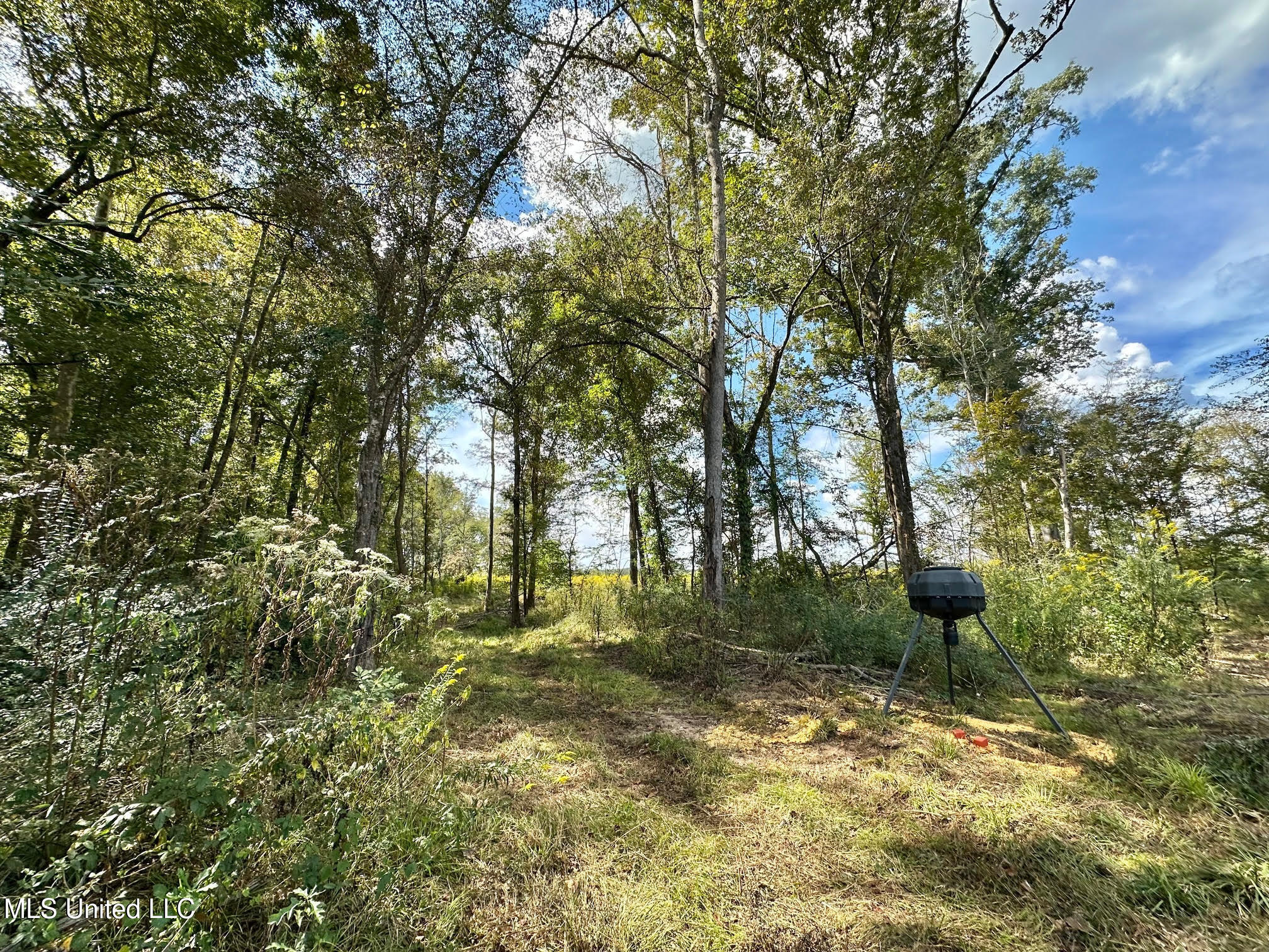 5 Highway 35 Forest, MS 39074 - Photo 18 of 51 27