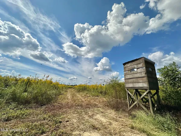 $425,000 | 5 Highway 35, Forest, MS 39074