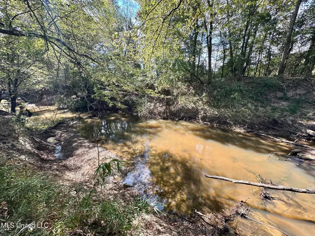 $425,000 | 5 Highway 35, Forest, MS 39074