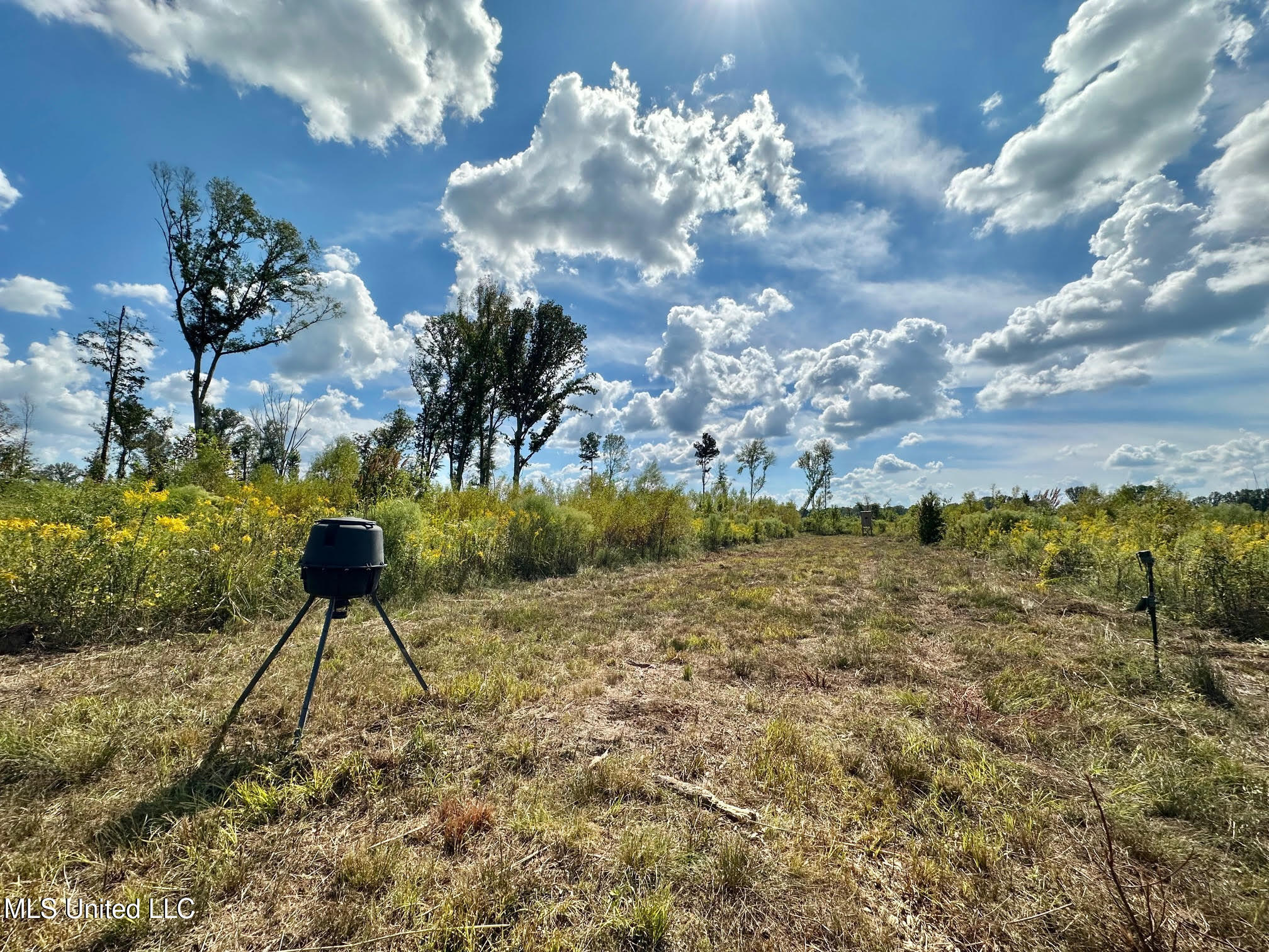 5 Highway 35 Forest, MS 39074 - Photo 21 of 51 30