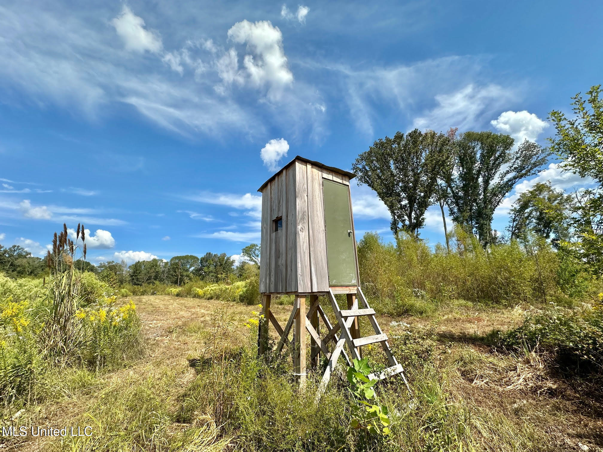 5 Highway 35 Forest, MS 39074 - Photo 22 of 51 31