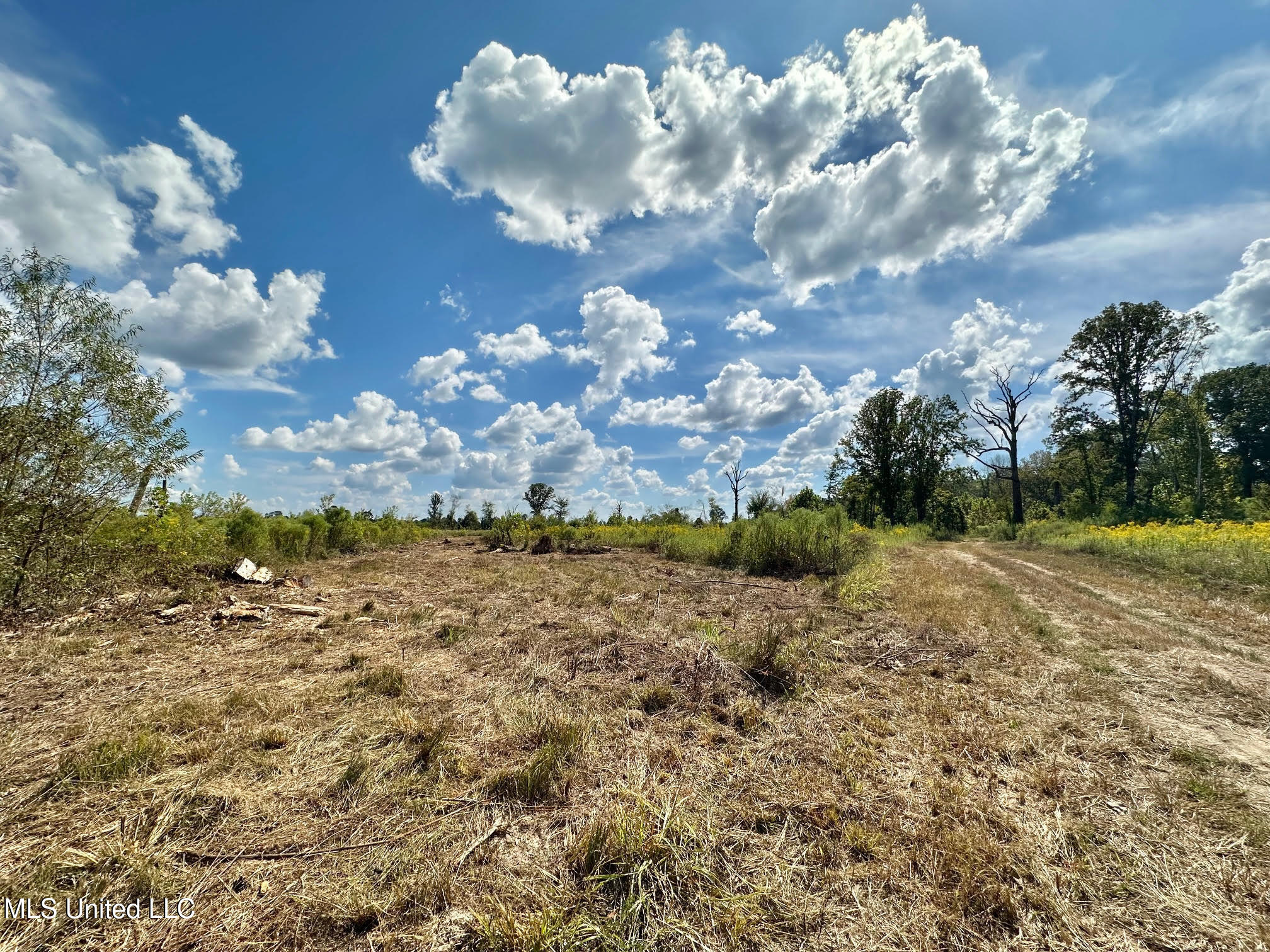 5 Highway 35 Forest, MS 39074 - Photo 23 of 51 32