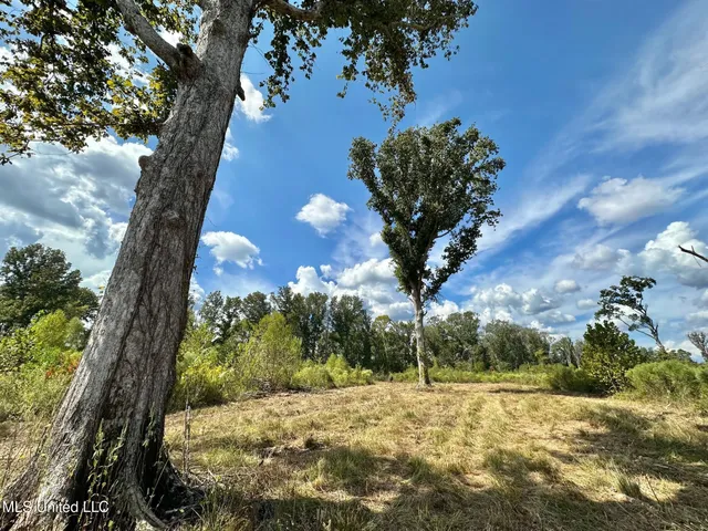 $425,000 | 5 Highway 35, Forest, MS 39074