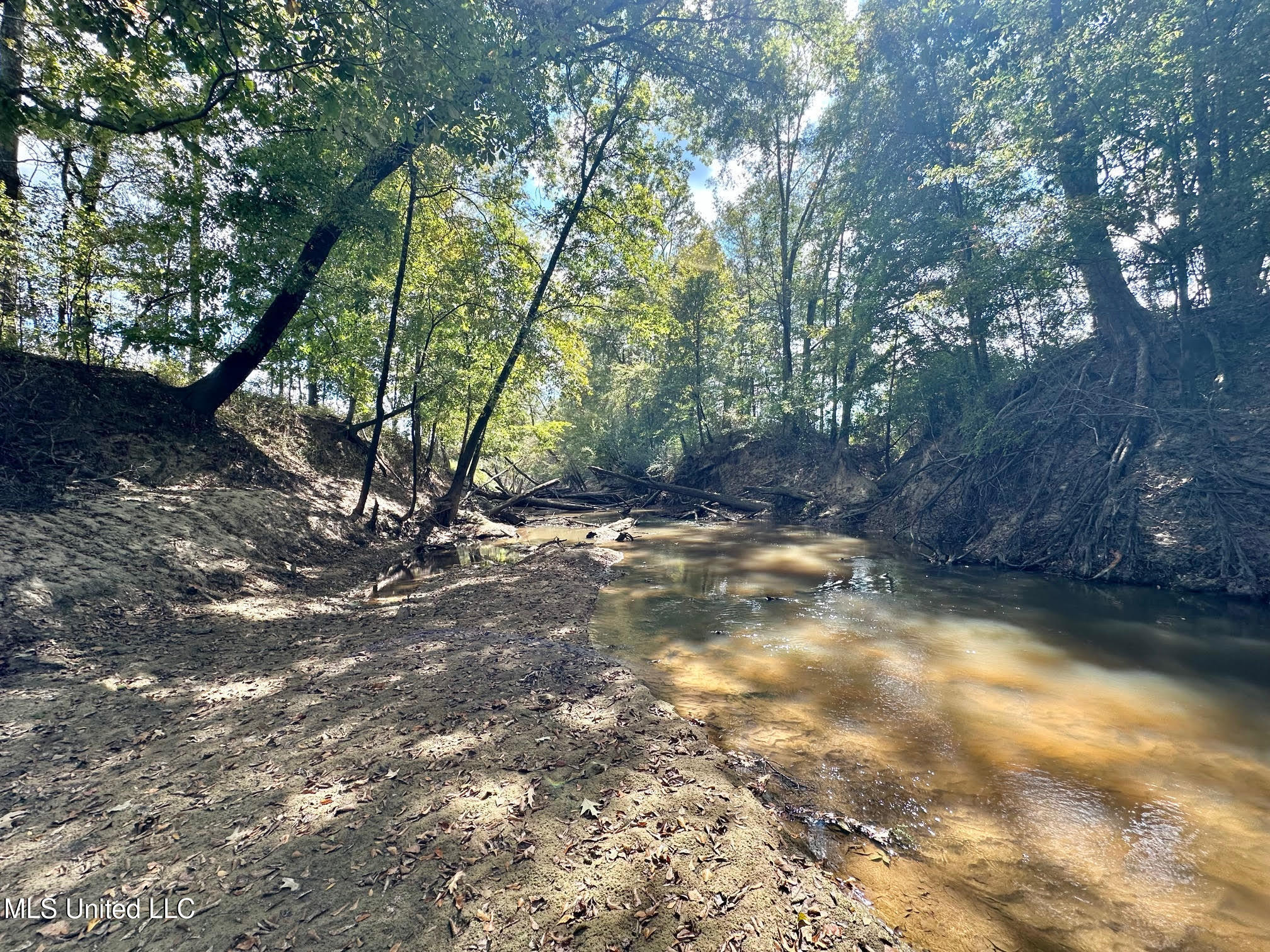 5 Highway 35 Forest, MS 39074 - Photo 25 of 51 34