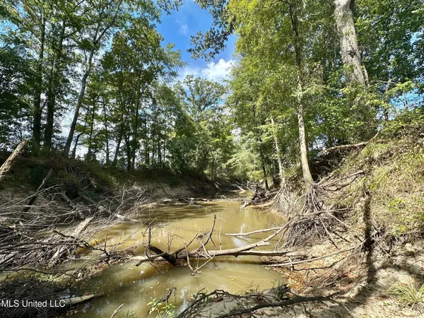 $425,000 | 5 Highway 35, Forest, MS 39074