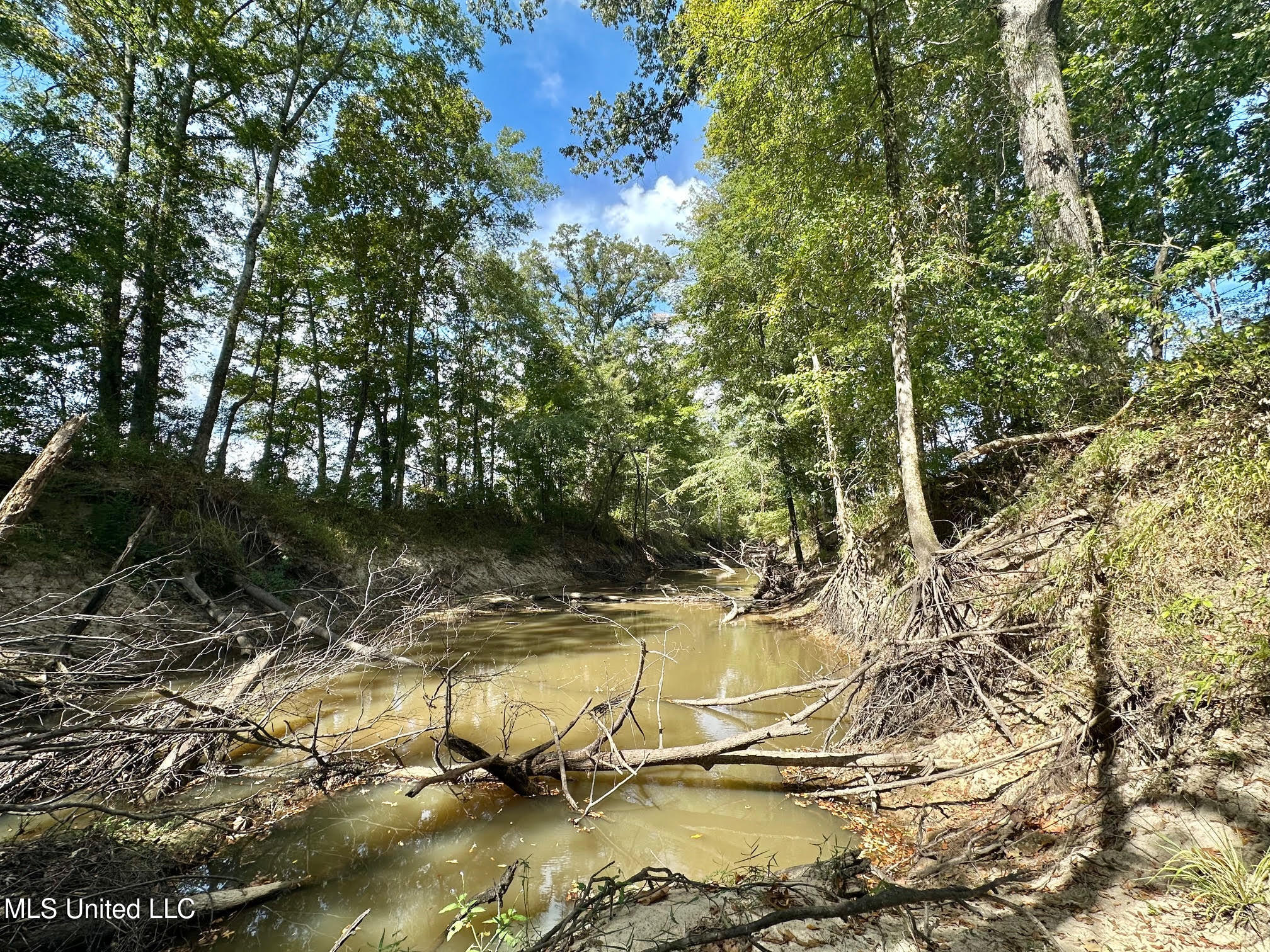 5 Highway 35 Forest, MS 39074 - Photo 26 of 51 35