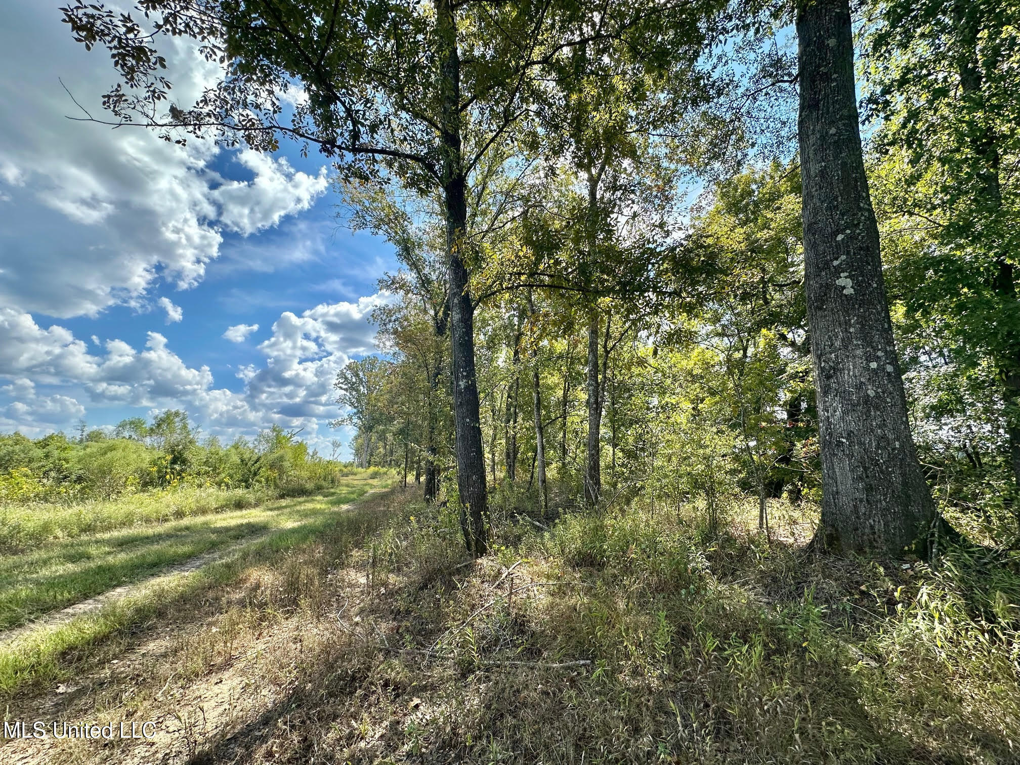 5 Highway 35 Forest, MS 39074 - Photo 27 of 51 36