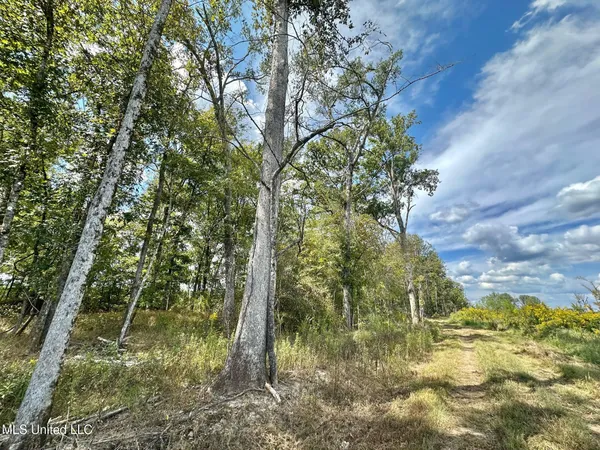 $425,000 | 5 Highway 35, Forest, MS 39074