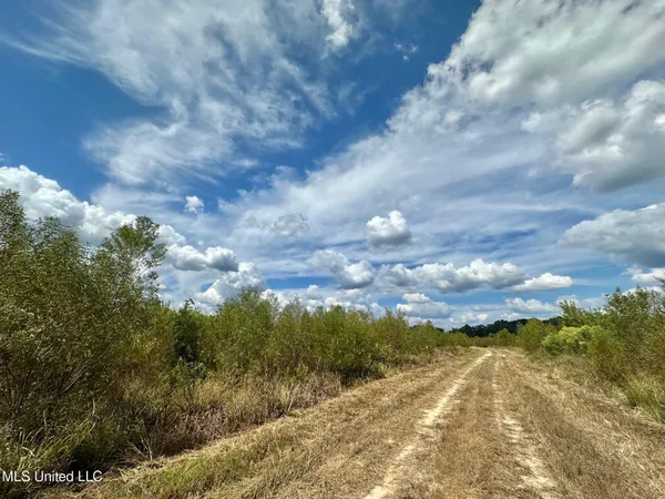 $425,000 | 5 Highway 35, Forest, MS 39074