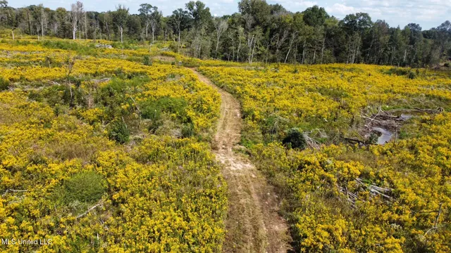 $425,000 | 5 Highway 35, Forest, MS 39074