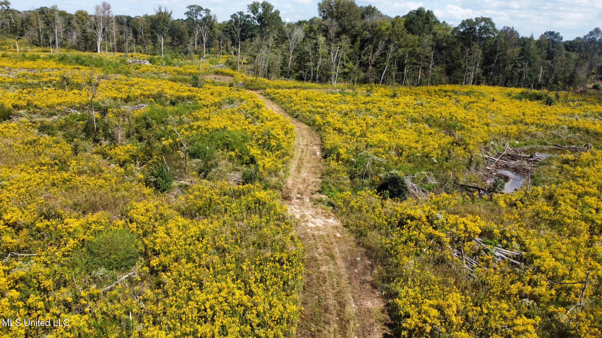 5 Highway 35 Forest, MS 39074 - Photo 30 of 51 39