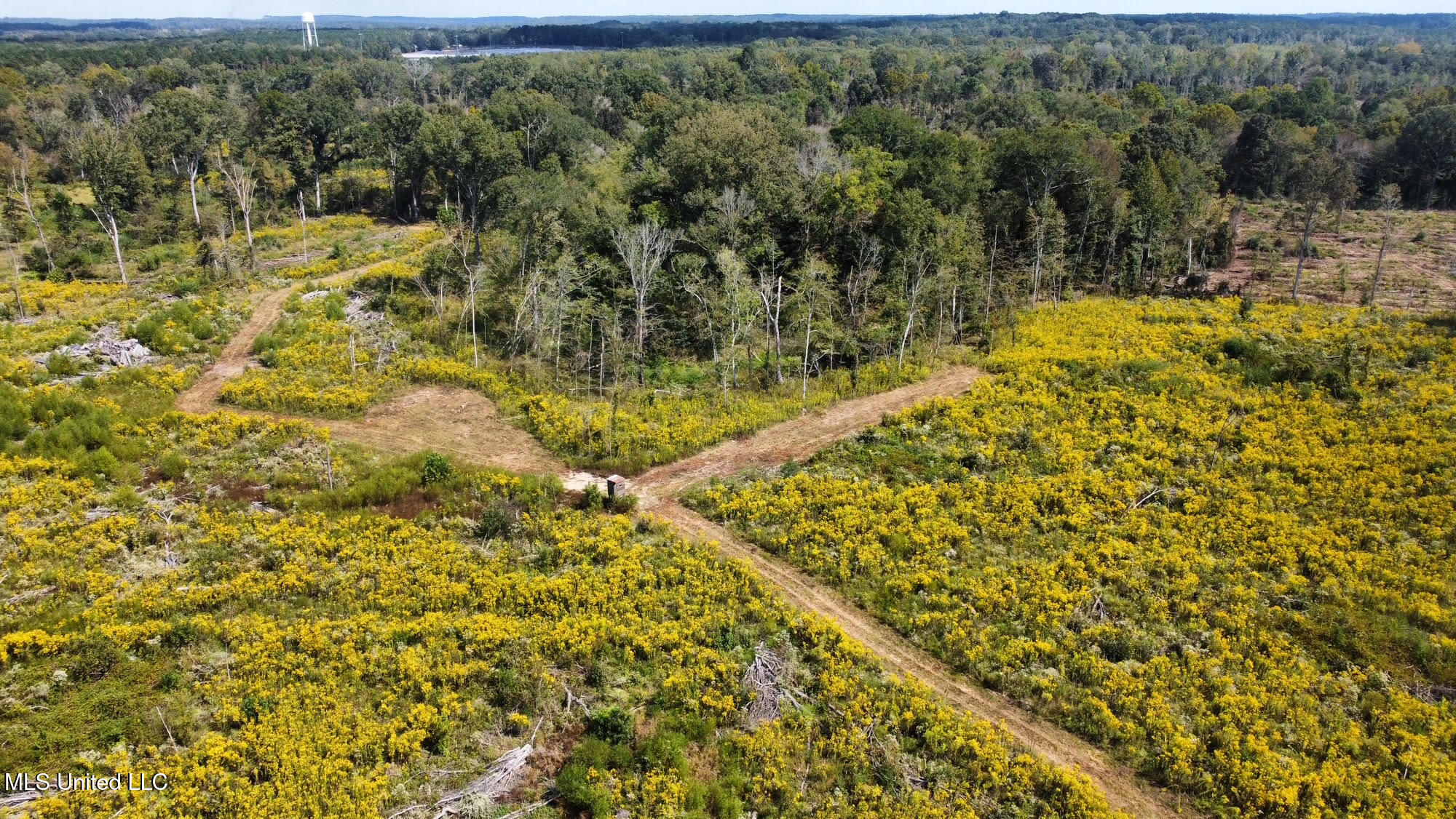 5 Highway 35 Forest, MS 39074 - Photo 31 of 51 40