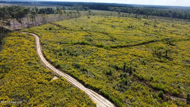 $425,000 | 5 Highway 35, Forest, MS 39074