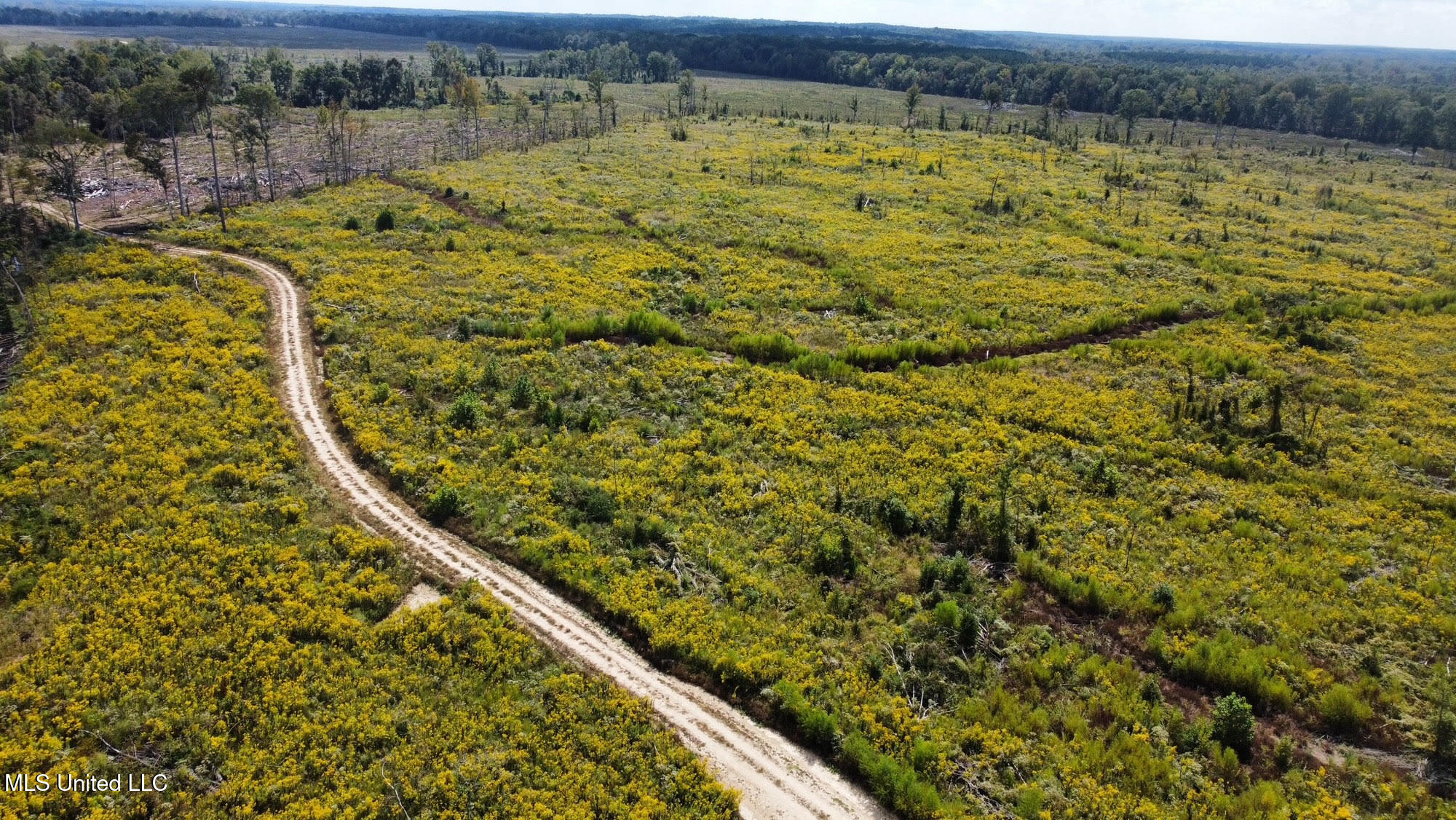 5 Highway 35 Forest, MS 39074 - Photo 32 of 51 41