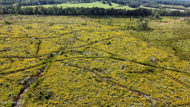 $425,000 | 5 Highway 35, Forest, MS 39074