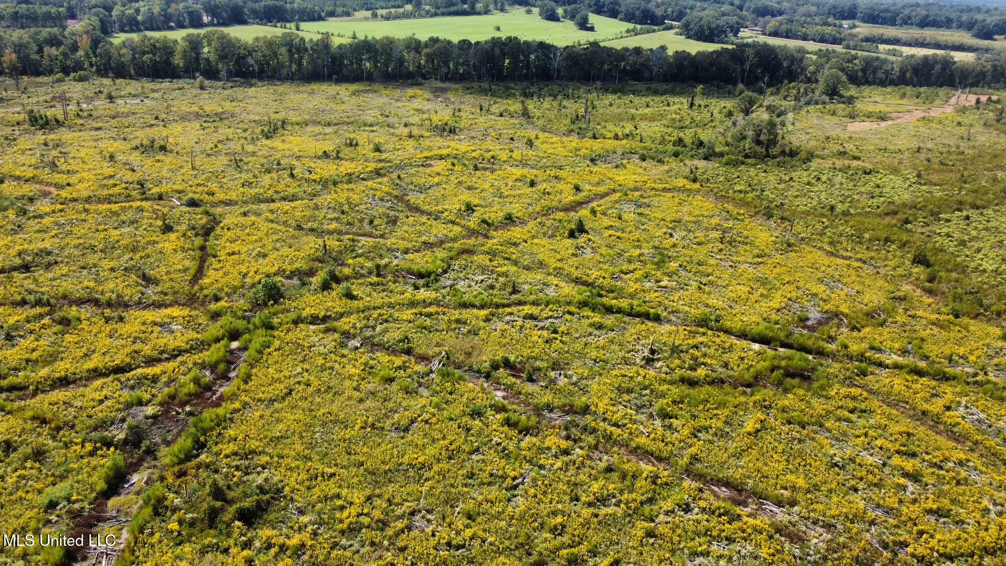 5 Highway 35 Forest, MS 39074 - Photo 34 of 51 43