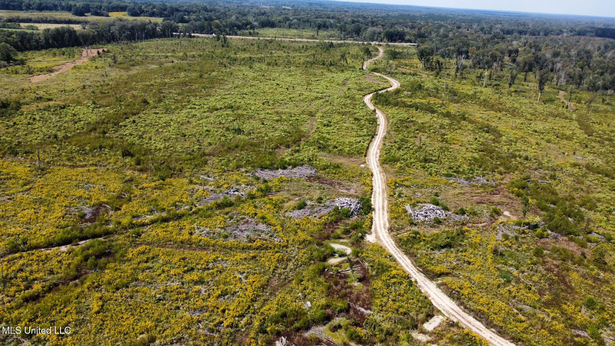 5 Highway 35 Forest, MS 39074 - Photo 35 of 51 44