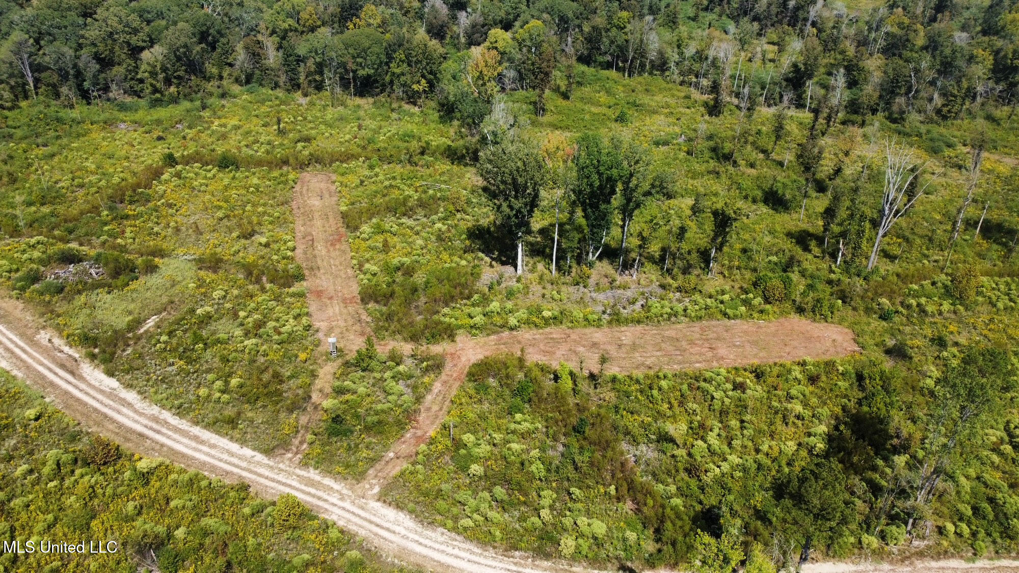 5 Highway 35 Forest, MS 39074 - Photo 38 of 51 47