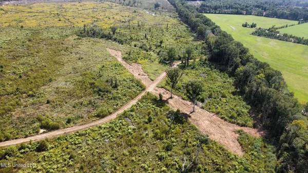 $425,000 | 5 Highway 35, Forest, MS 39074