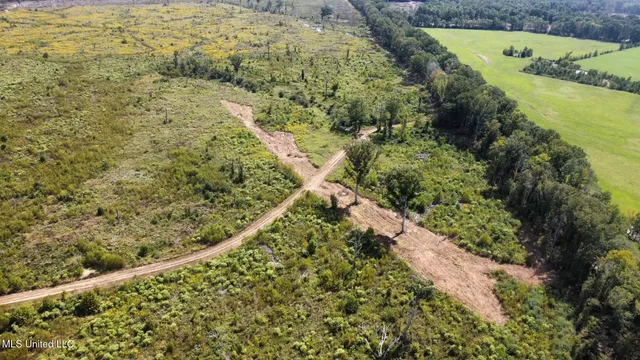 $425,000 | 5 Highway 35, Forest, MS 39074