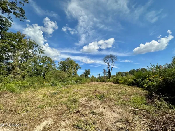 $425,000 | 5 Highway 35, Forest, MS 39074