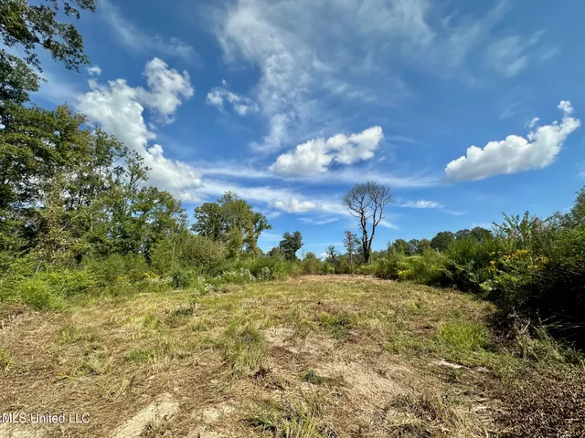 $425,000 | 5 Highway 35, Forest, MS 39074