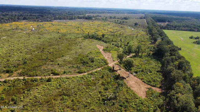 $425,000 | 5 Highway 35, Forest, MS 39074