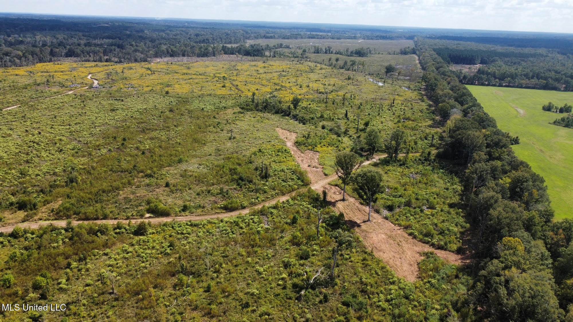 5 Highway 35 Forest, MS 39074 - Photo 41 of 51 50