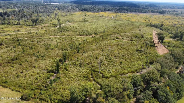 $425,000 | 5 Highway 35, Forest, MS 39074