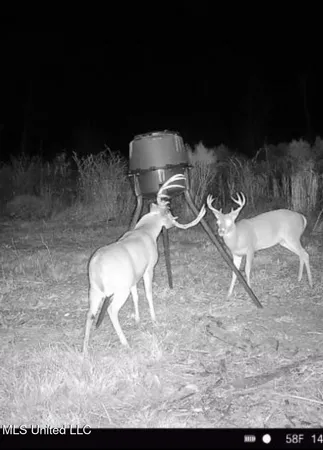 $425,000 | 5 Highway 35, Forest, MS 39074