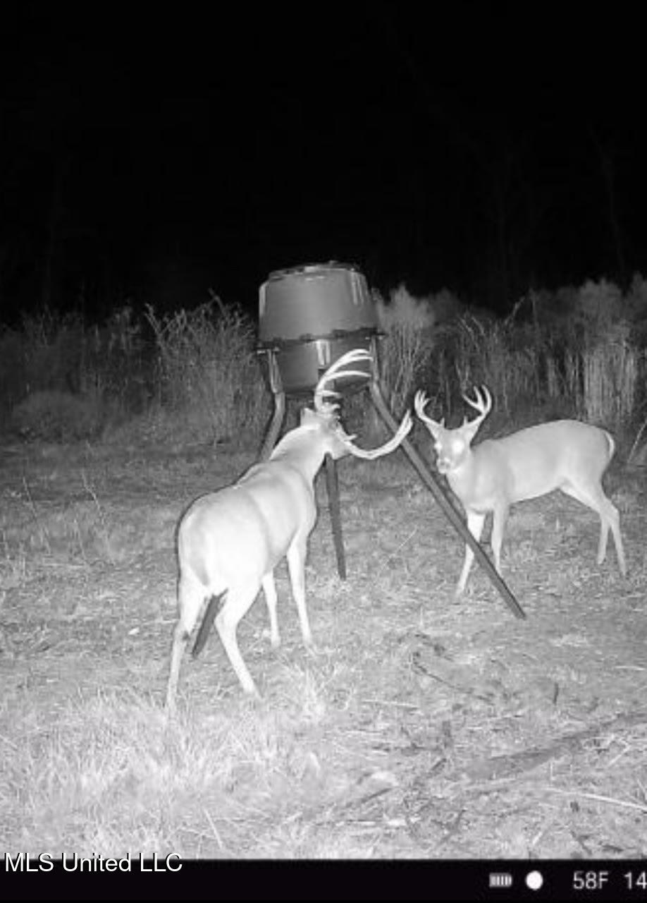 5 Highway 35 Forest, MS 39074 - Photo 45 of 51 59