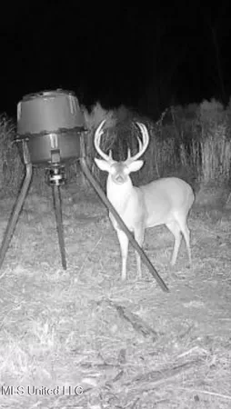 $425,000 | 5 Highway 35, Forest, MS 39074