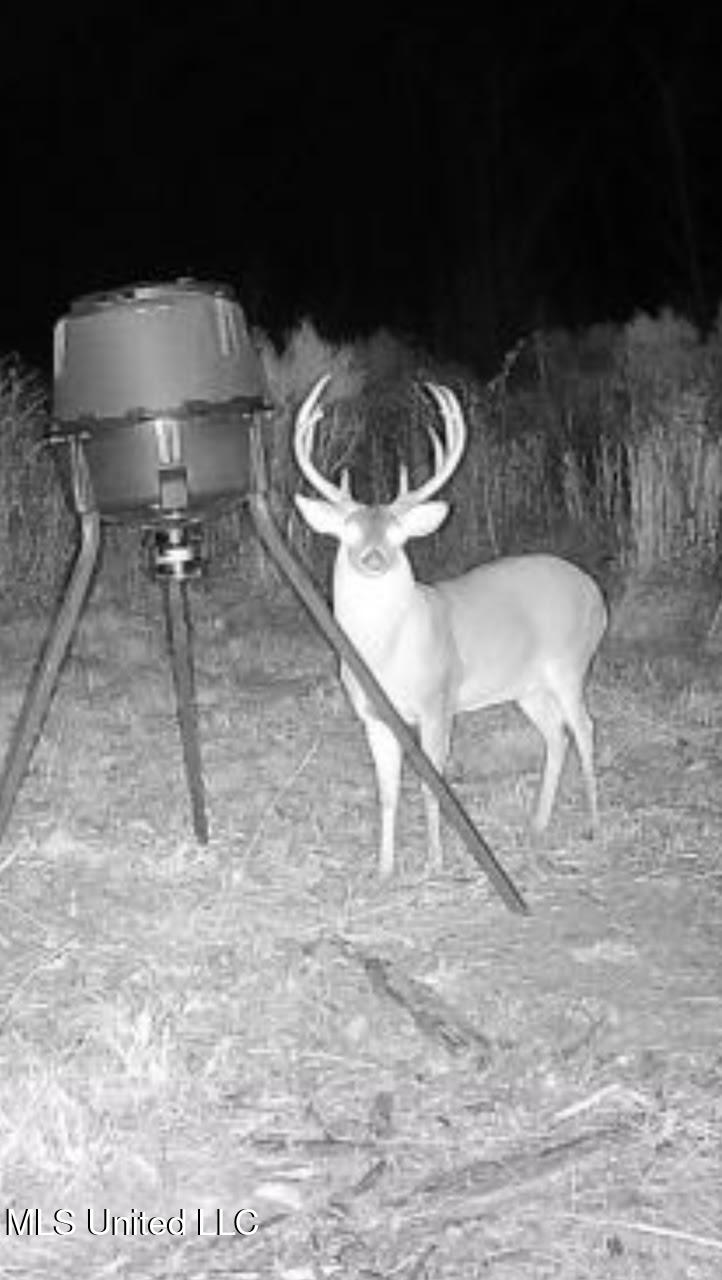 5 Highway 35 Forest, MS 39074 - Photo 46 of 51 60