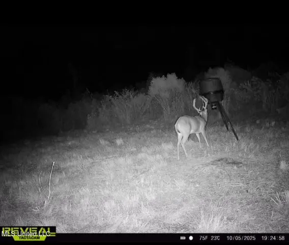 $425,000 | 5 Highway 35, Forest, MS 39074