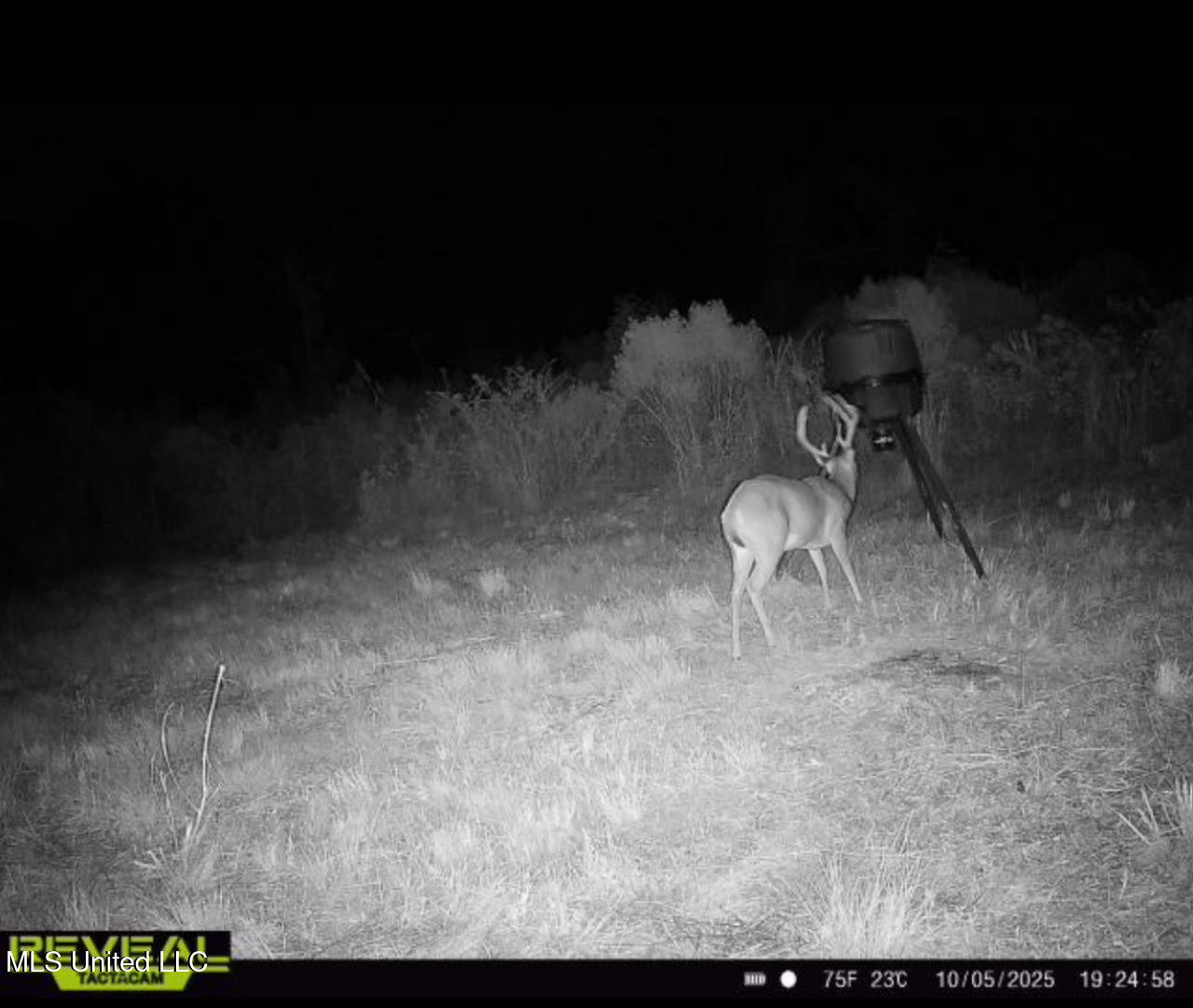 5 Highway 35 Forest, MS 39074 - Photo 48 of 51 62