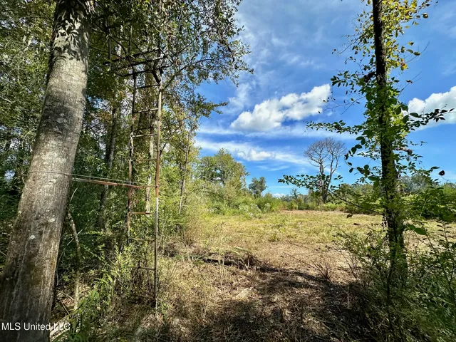 $425,000 | 5 Highway 35, Forest, MS 39074
