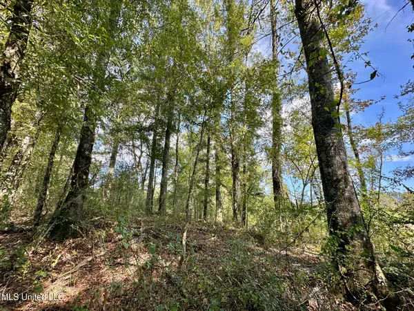 $425,000 | 5 Highway 35, Forest, MS 39074