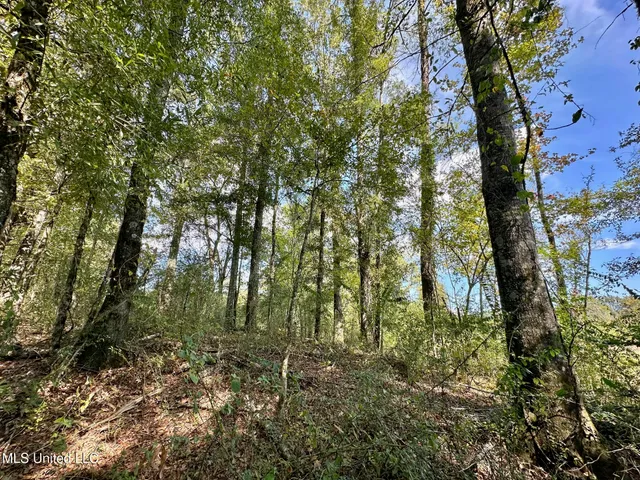 $425,000 | 5 Highway 35, Forest, MS 39074