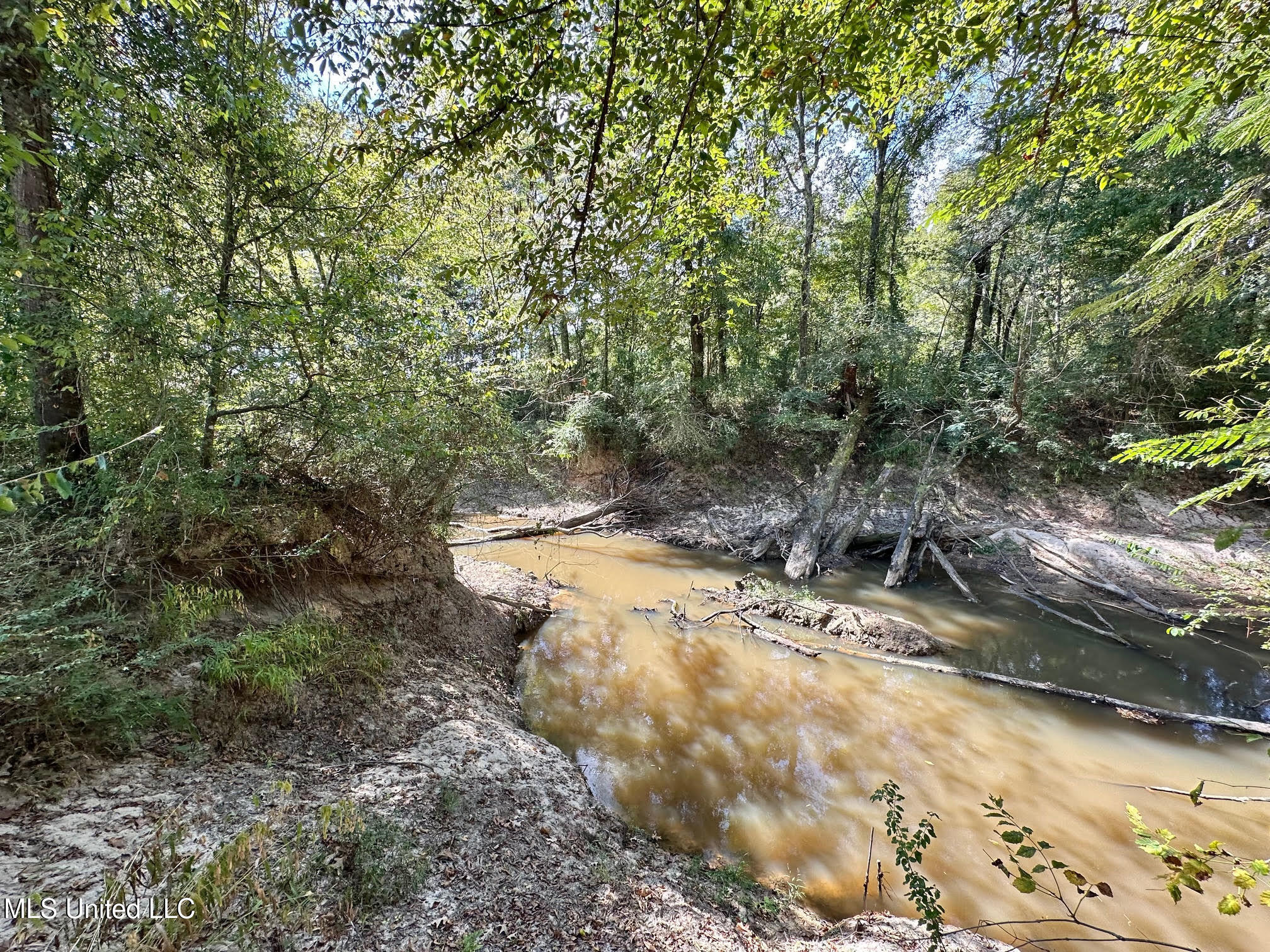 5 Highway 35 Forest, MS 39074 - Photo 7 of 51 16