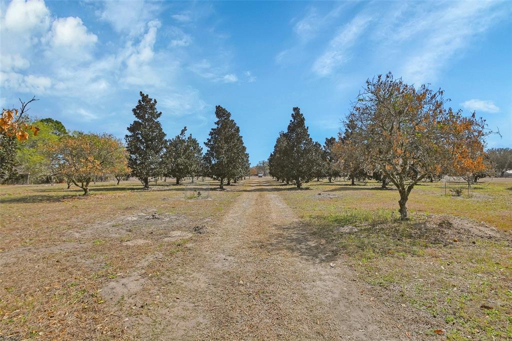 1403 Blackwelder Road De Leon Springs, FL 32130 - Photo 51 of 93
