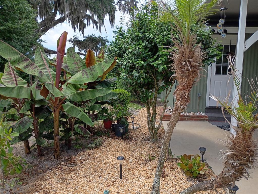 1403 Blackwelder Road De Leon Springs, FL 32130 - Photo 6 of 93