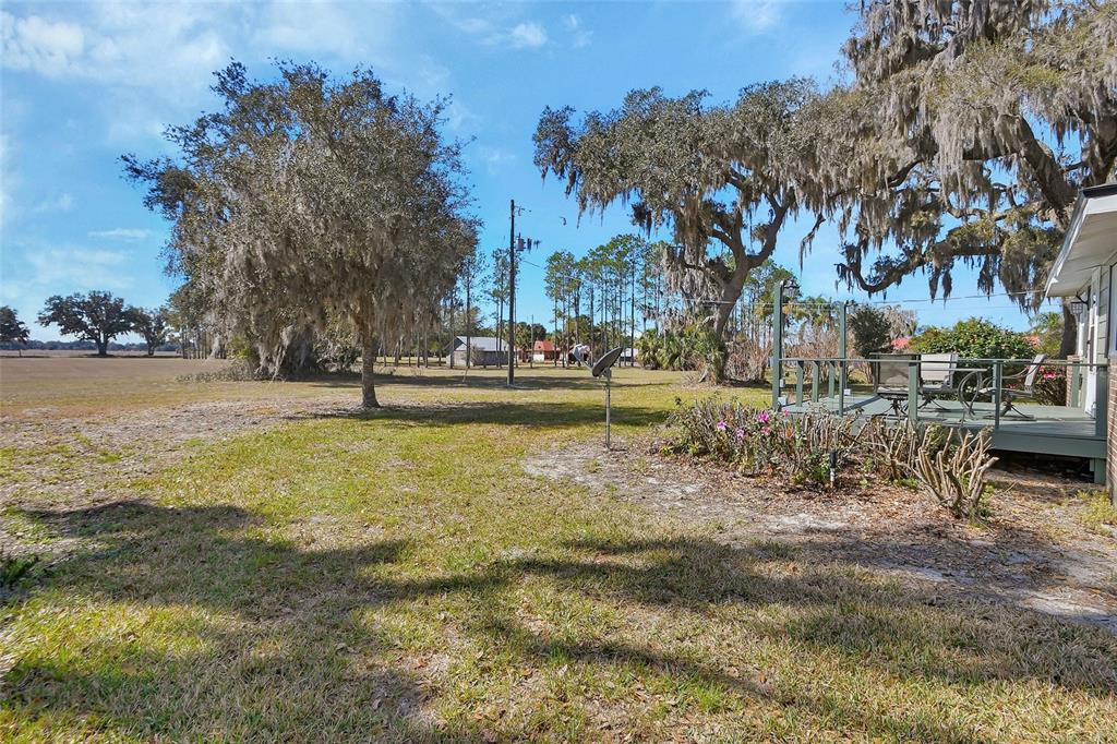 1403 Blackwelder Road De Leon Springs, FL 32130 - Photo 71 of 93 a view of a yard with swimming pool and sitting area