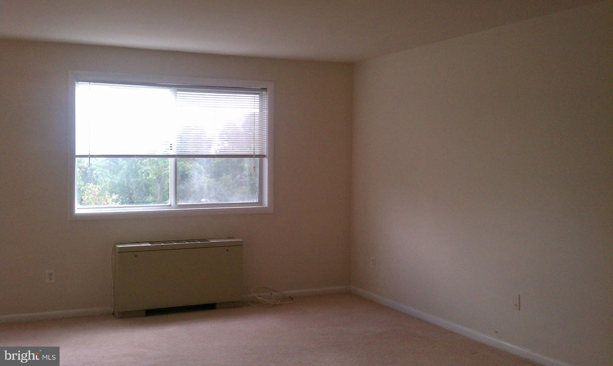 5101 8th Road South, Unit 313 Arlington, VA 22204 - Photo 2 of 8 Living Room