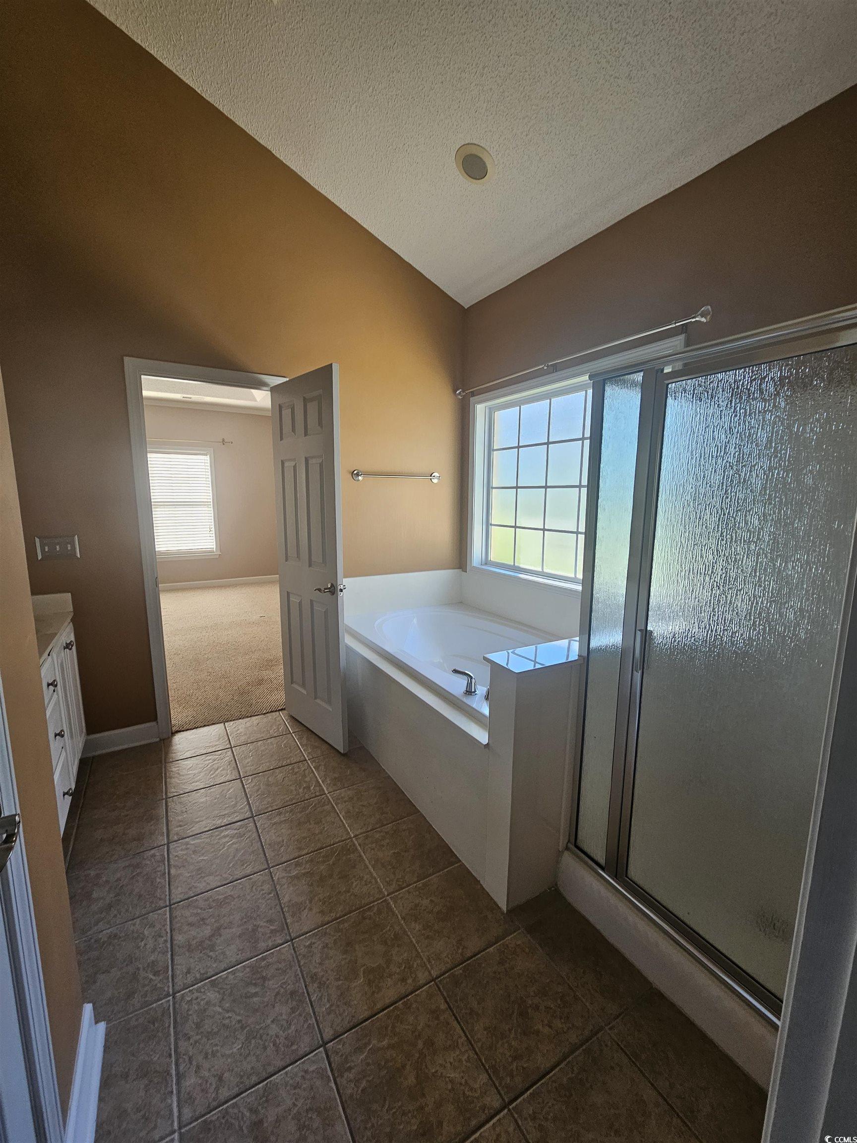 1011 Hillsdale Little River, SC 29566 - Photo 16 of 21 Full bath with a stall shower, a textured ceiling, healthy amount of natural light, a garden tub, and vanity
