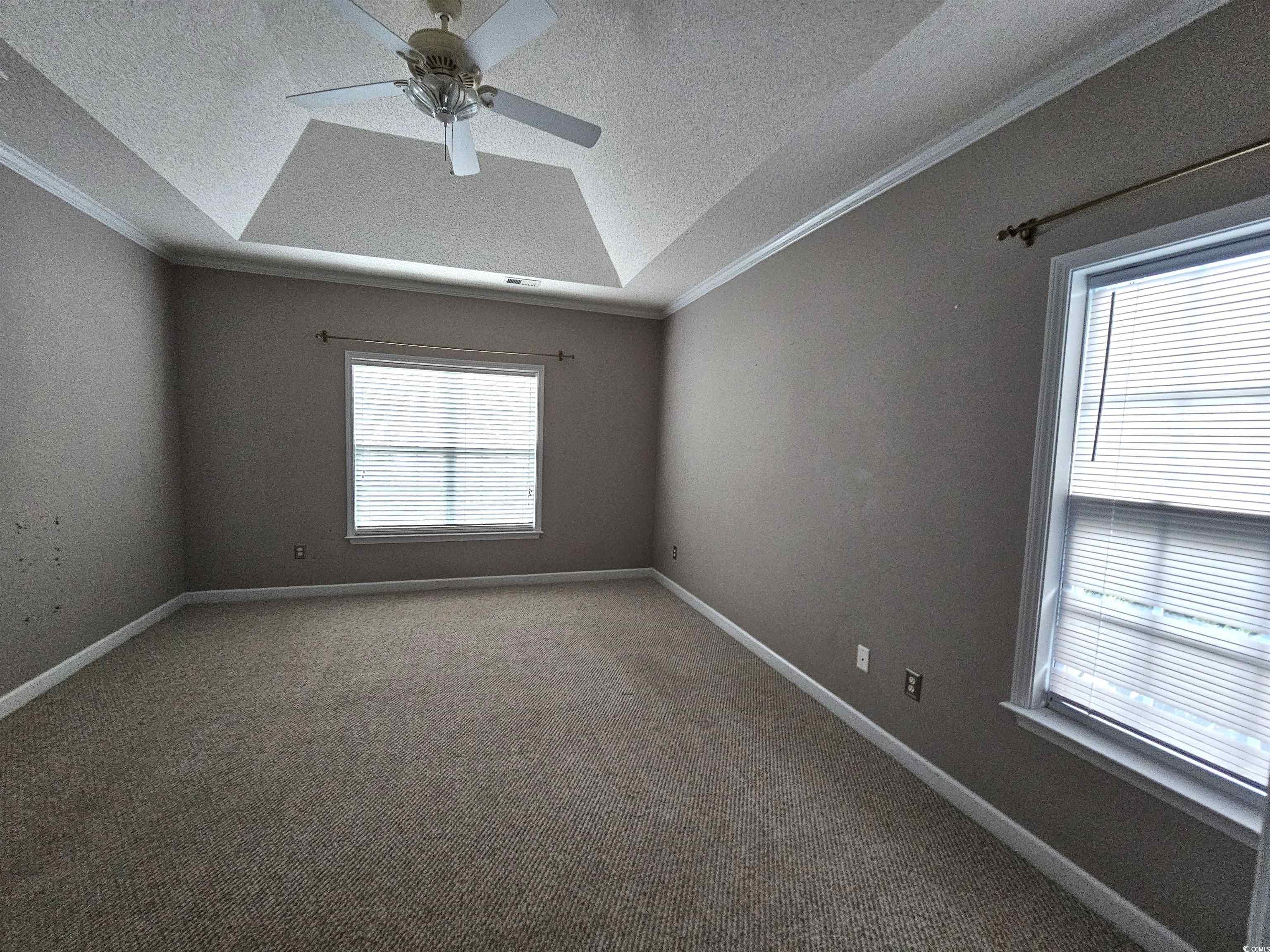 1011 Hillsdale Little River, SC 29566 - Photo 10 of 21 Unfurnished room with a raised ceiling, ornamental molding, carpet, ceiling fan, and a textured ceiling